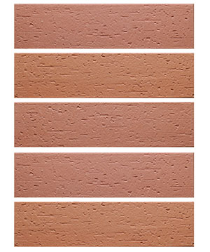 2022.5.16_9.21.35_1229