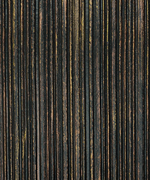 2024.6.29_11.23.25_9987