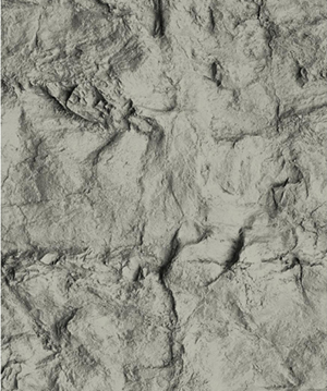 2025.4.12_17.34.3_5185