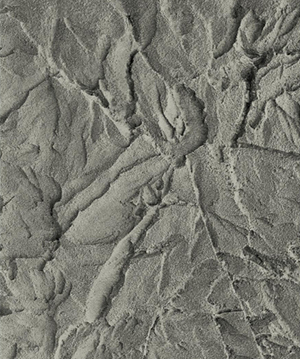 2025.4.14_16.1.20_3201