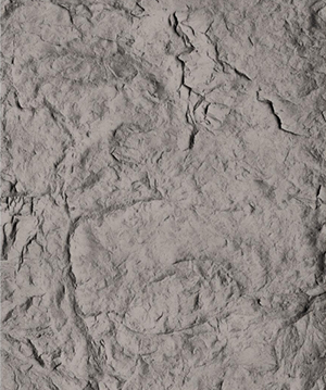 2025.4.14_17.8.39_1614