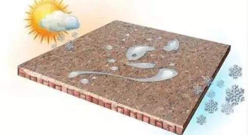 游艇会·yth206(中国)最新官方网站