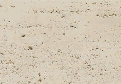 游艇会·yth206(中国)最新官方网站