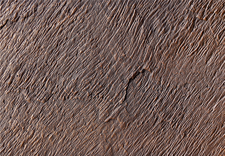 游艇会·yth206(中国)最新官方网站